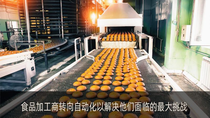 炒货机售后服务哪家强？省心之选看这里**