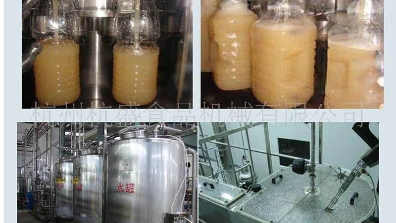 小型食品机械：价格与型号背后的考量因素