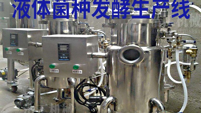 小型挂面生产线：揭秘其价格构成与选购要点